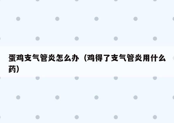 蛋鸡支气管炎怎么办(鸡得了支气管炎用什么药)