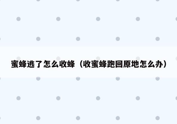 蜜蜂逃了怎么收蜂(收蜜蜂跑回原地怎么办)