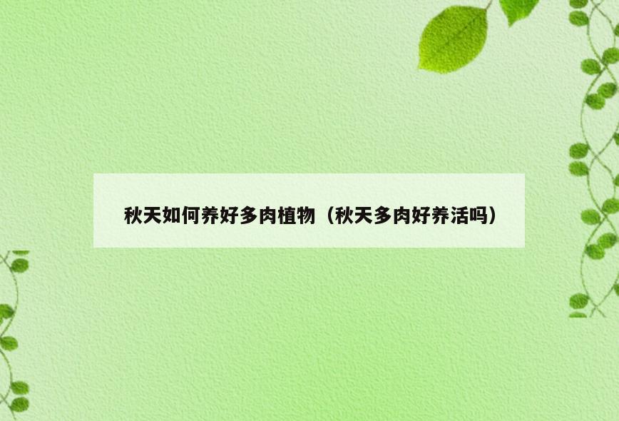 秋天如何养好多肉植物(秋天多肉好养活吗)
