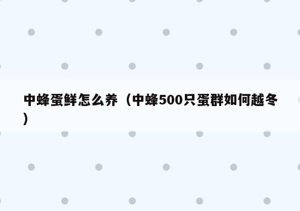 中蜂蛋鲜怎么养(中蜂500只蛋群如何越冬)