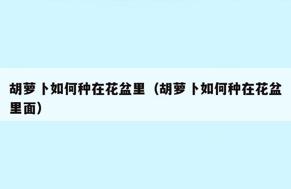 胡萝卜如何种在花盆里(胡萝卜如何种在花盆里面)