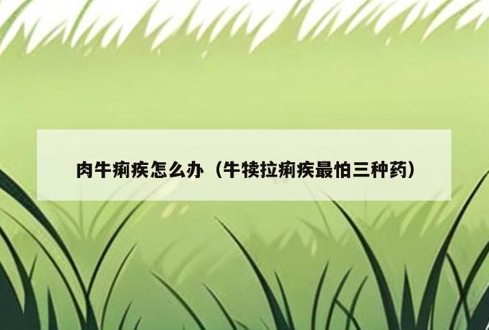 肉牛痢疾怎么办(牛犊拉痢疾最怕三种药)