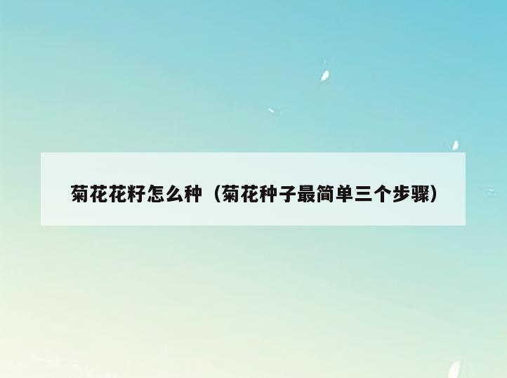 菊花花籽怎么种(菊花种子最简单三个步骤)