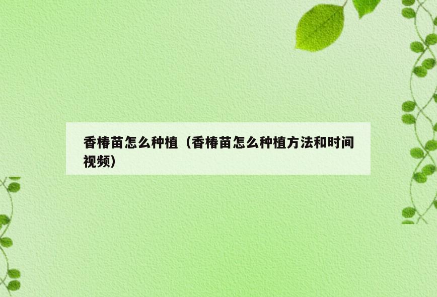 香椿苗怎么种植(香椿苗怎么种植方法和时间视频)