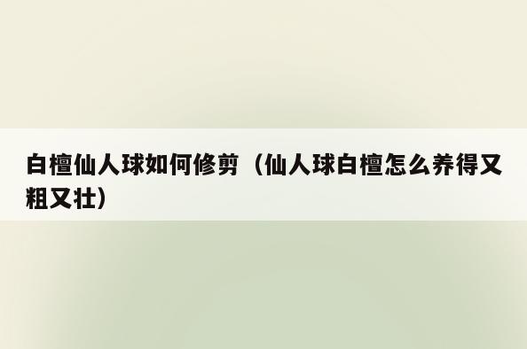 白檀仙人球如何修剪(仙人球白檀怎么养得又粗又壮)