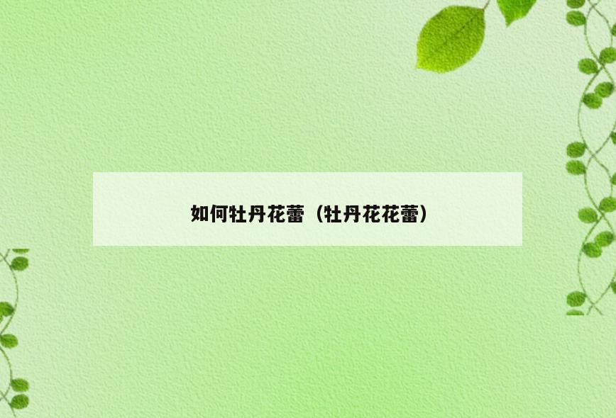 如何牡丹花蕾(牡丹花花蕾)