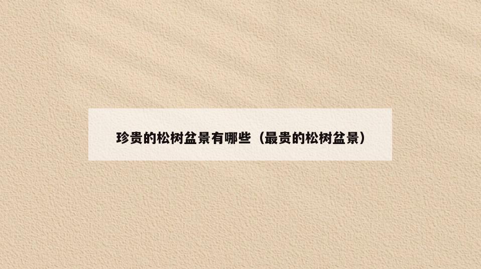 珍贵的松树盆景有哪些(最贵的松树盆景)