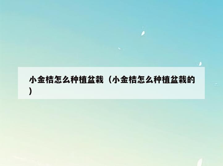 小金桔怎么种植盆栽(小金桔怎么种植盆栽的)