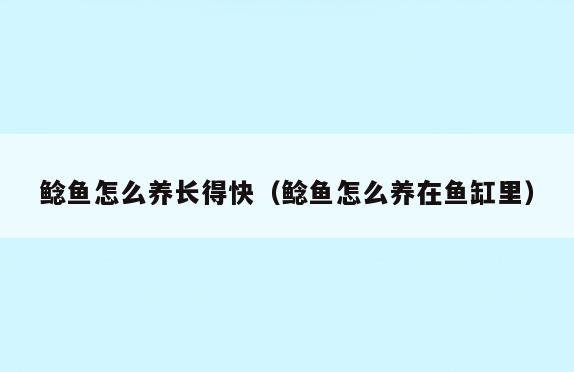 鲶鱼怎么养长得快(鲶鱼怎么养在鱼缸里)