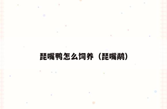 琵嘴鸭怎么饲养(琵嘴鹬)