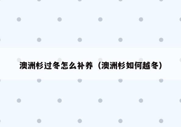 澳洲杉过冬怎么补养(澳洲杉如何越冬)
