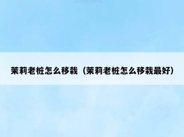 茉莉老桩怎么移栽(茉莉老桩怎么移栽最好)