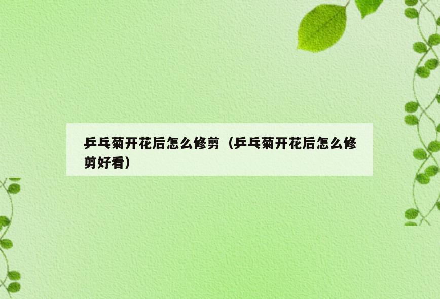 乒乓菊开花后怎么修剪(乒乓菊开花后怎么修剪好看)