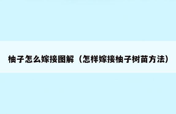 柚子怎么嫁接图解(怎样嫁接柚子树苗方法)