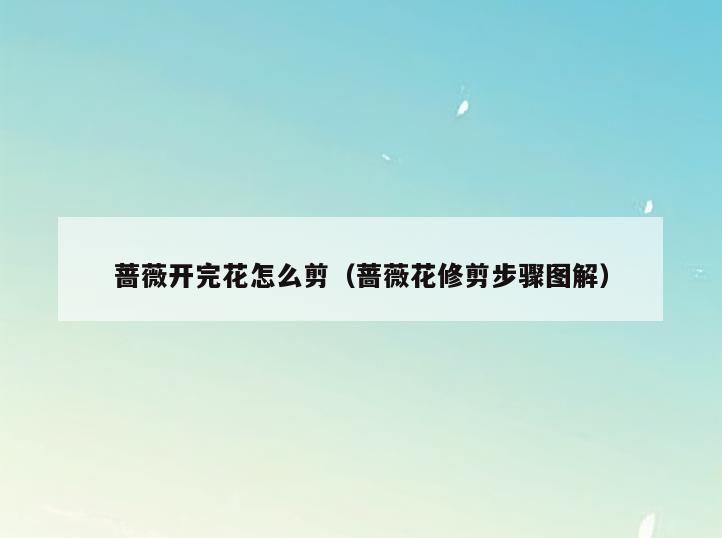 蔷薇开完花怎么剪(蔷薇花修剪步骤图解)