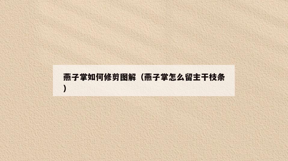 燕子掌如何修剪图解(燕子掌怎么留主干枝条)