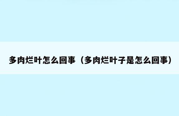 多肉烂叶怎么回事(多肉烂叶子是怎么回事)