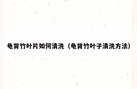 龟背竹叶片如何清洗(龟背竹叶子清洗方法)