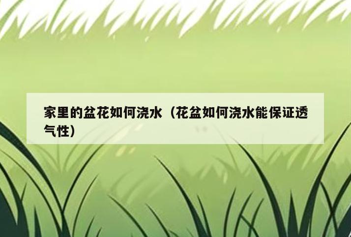 家里的盆花如何浇水(花盆如何浇水能保证透气性)