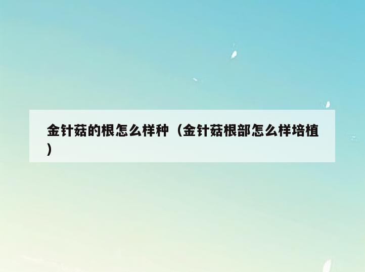 金针菇的根怎么样种(金针菇根部怎么样培植)
