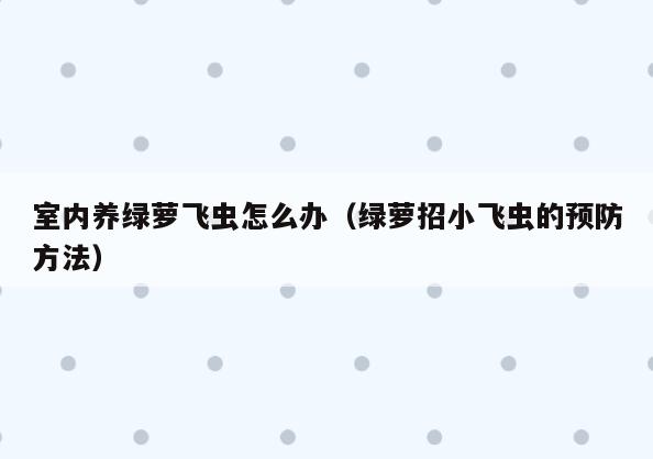 室内养绿萝飞虫怎么办(绿萝招小飞虫的预防方法)