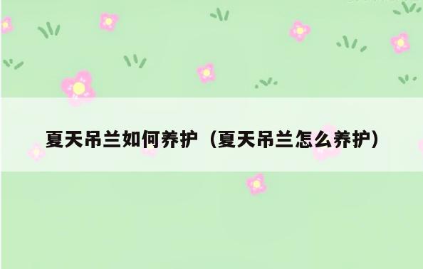 夏天吊兰如何养护(夏天吊兰怎么养护)