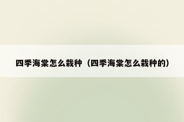 四季海棠怎么栽种(四季海棠怎么栽种的)