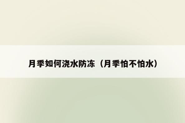 月季如何浇水防冻(月季怕不怕水)