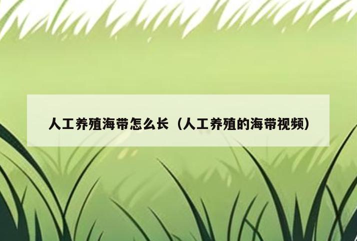 人工养殖海带怎么长(人工养殖的海带视频)