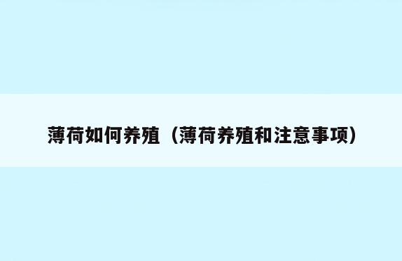 薄荷如何养殖(薄荷养殖和注意事项)
