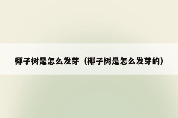 椰子树是怎么发芽(椰子树是怎么发芽的)