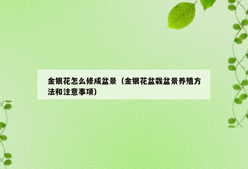 金银花怎么修成盆景(金银花盆栽盆景养殖方法和注意事项)
