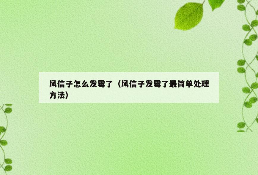 风信子怎么发霉了(风信子发霉了最简单处理方法)