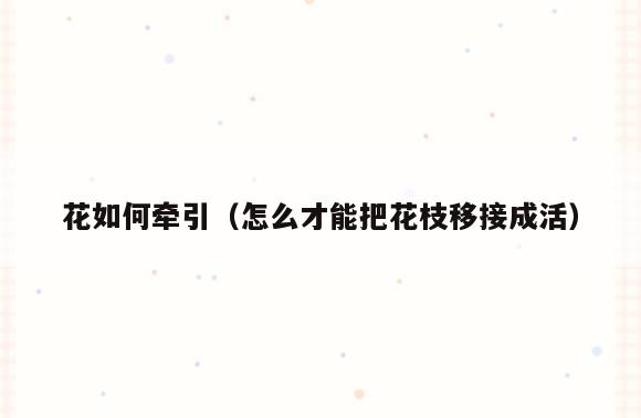 花如何牵引(怎么才能把花枝移接成活)