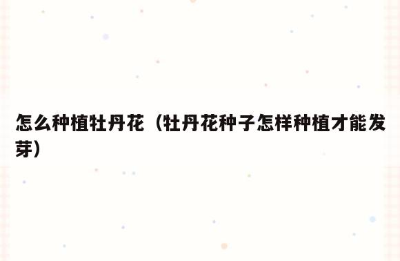 怎么种植牡丹花(牡丹花种子怎样种植才能发芽)