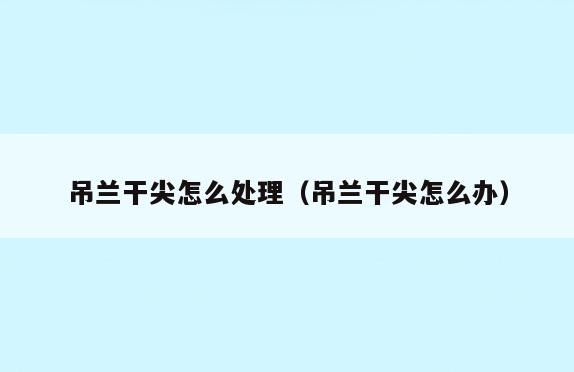 吊兰干尖怎么处理(吊兰干尖怎么办)