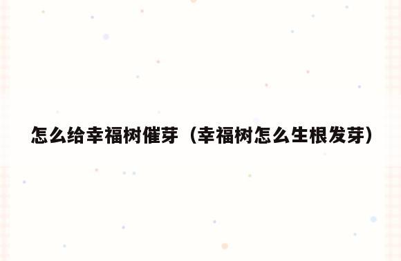 怎么给幸福树催芽(幸福树怎么生根发芽)