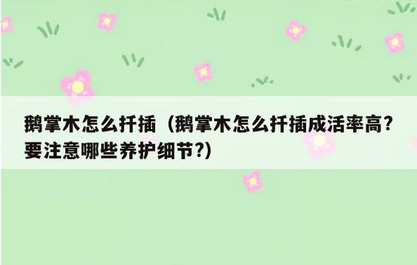 鹅掌木怎么扦插(鹅掌木怎么扦插成活率高?要注意哪些养护细节?)