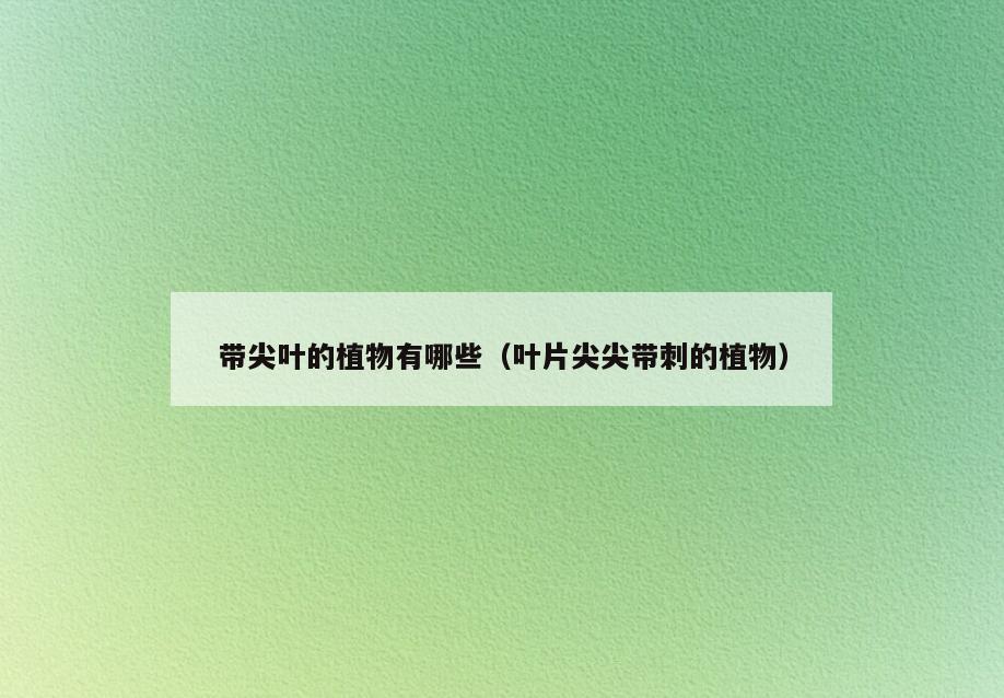 带尖叶的植物有哪些(叶片尖尖带刺的植物)