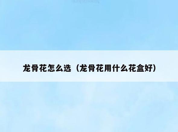 龙骨花怎么选(龙骨花用什么花盒好)