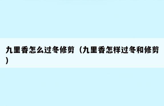 九里香怎么过冬修剪(九里香怎样过冬和修剪)