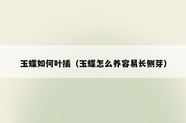 玉蝶如何叶插(玉蝶怎么养容易长侧芽)