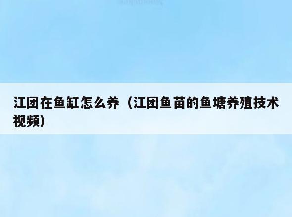 江团在鱼缸怎么养(江团鱼苗的鱼塘养殖技术视频)