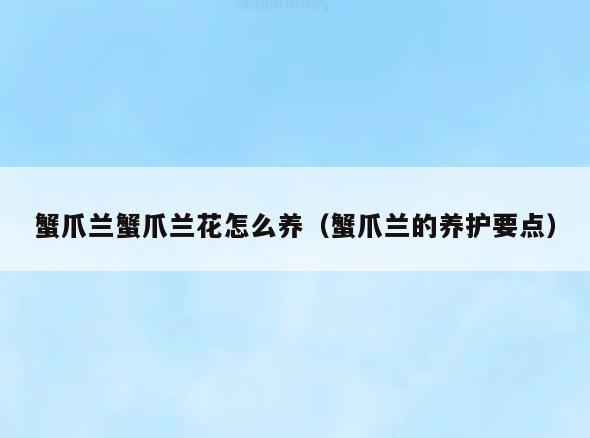 蟹爪兰蟹爪兰花怎么养(蟹爪兰的养护要点)