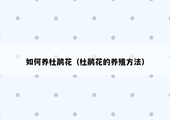 如何养杜鹃花(杜鹃花的养殖方法)