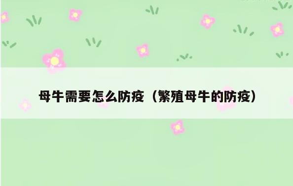 母牛需要怎么防疫(繁殖母牛的防疫)