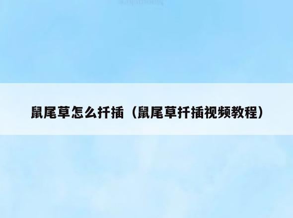鼠尾草怎么扦插(鼠尾草扦插视频教程)