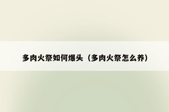 多肉火祭如何爆头(多肉火祭怎么养)
