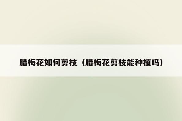 腊梅花如何剪枝(腊梅花剪枝能种植吗)