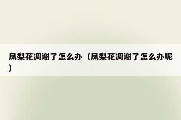 凤梨花凋谢了怎么办(凤梨花凋谢了怎么办呢)